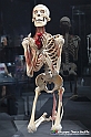 VBS_3098 - Mostra Body Worlds